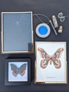 Bundle #7