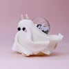 [RESERVED for Alissa] ghost snail dry - super biggy size
