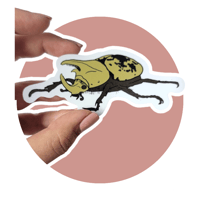 Image 1 of Eastern Hercules Beetle