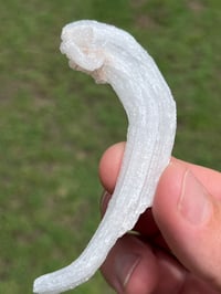 Image 13 of Rams Horn Selenite, Gypsum Specimen | Guizhou China #2867