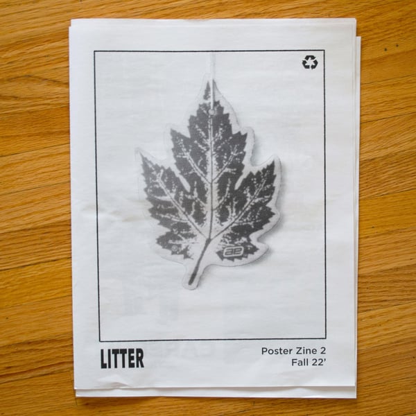 Image of LITTER fall poster zine