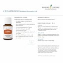 Complementary Medicine Cedarwood Wellness Essential Oil 15ml