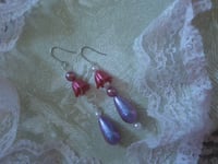 Image 1 of Psilocybin Twinkle Twins