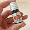 Complementary Medicine Sacred Sandalwood Wellness Essential Oil 5ml