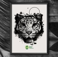 Image 3 of SUMATRA TIGER JUNGLE FACE x BORNÉO NATURE FRANCE