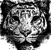 Image 4 of SUMATRA TIGER JUNGLE FACE x BORNÉO NATURE FRANCE