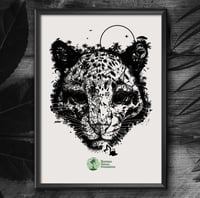 Image 1 of CLOUDED LEOPARD JUNGLE FACE x BORNÉO NATURE FRANCE
