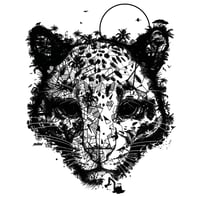 Image 2 of CLOUDED LEOPARD JUNGLE FACE x BORNÉO NATURE FRANCE