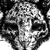Image 4 of CLOUDED LEOPARD JUNGLE FACE x BORNÉO NATURE FRANCE