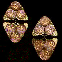 Image 5 of DREAM GLITTER / MOTH Double Earring - Various Colours and Stones