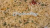 ONE SMALL ORDER OF CHEF CHINI FAMOUS RICE