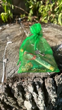 Image 1 of Money MoJo Bag 