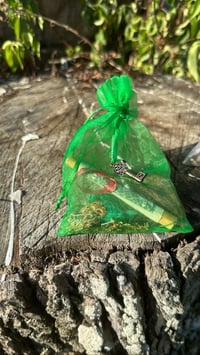 Image 2 of Money MoJo Bag 