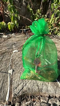 Image 4 of Money MoJo Bag 