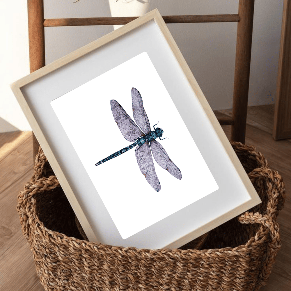 Image of Dragonfly Watercolor Illustration PRINT 