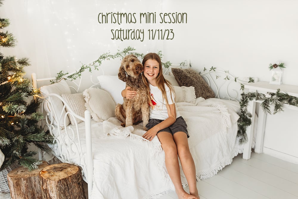 Image of Christmas Mini Session - Saturday 11/11/23
