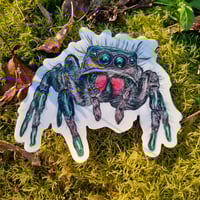 Regi -  Large premium art sticker