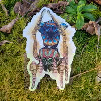 Otto -  Large premium art sticker