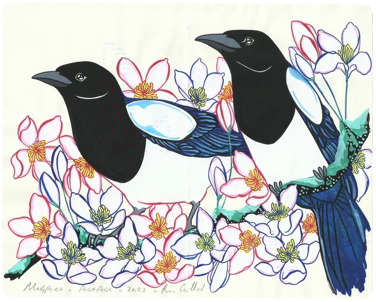 Image of Magpies and Clematis