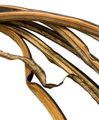 Image 4 of Clément 700c tubular bicycle tires