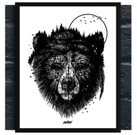 Image 2 of BEAR FOREST FACE x PAYS DE L'OURS