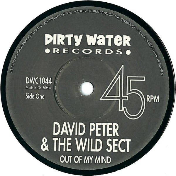David Peter And The Wilde Sect – Out Of My Mind / Don't Leave Me, 7" VINYL NEW