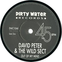 Image 3 of David Peter And The Wilde Sect – Out Of My Mind / Don't Leave Me, 7" VINYL NEW
