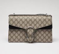 Brief Bag