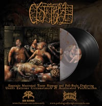 Cystgurgle “exquisite macerated tissue slippage and…vinyl