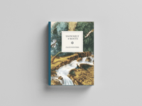 Snowmelt To Roots (poetry book)