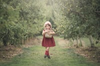 Image 2 of Apple Orchards