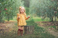 Image 1 of Apple Orchards