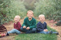 Image 3 of Apple Orchards