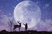 Image 2 of Fine Art Studio Christmas Sessions