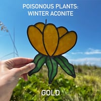 Image 1 of Poison Plants: Winter Aconite  GOLD