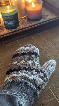 Image 3 of COLLAB: PowellKnitsWell Bernie Mittens