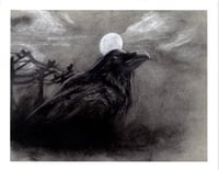 Image of Murder of Crows