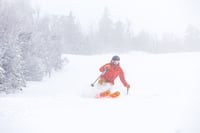 Image 4 of Blue - Extended Ski Pole Grips