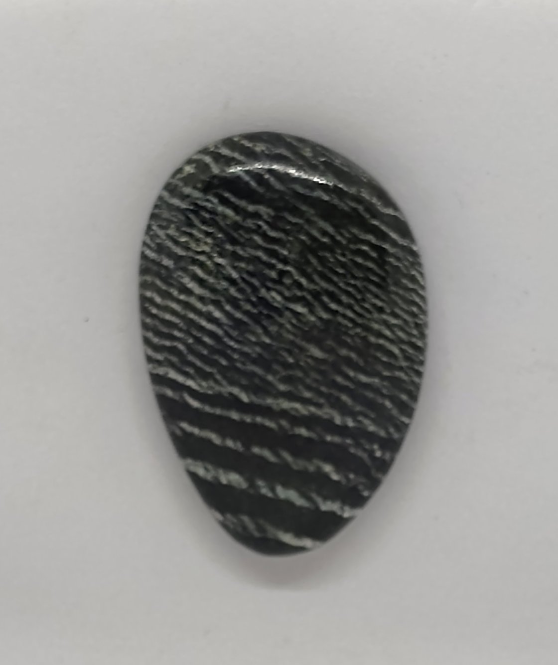 Image of Green Zebra Serpentine #23-699