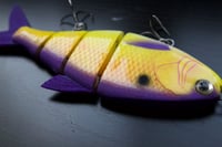 Image 3 of Solarfall baits mini shad (color: purple parrot )