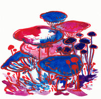 Blue & Magenta Mushrooms - Original Drawing 6x6"