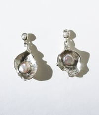 Image 1 of Oyster Earrings