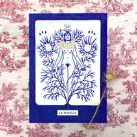 Image 1 of La Nigelle