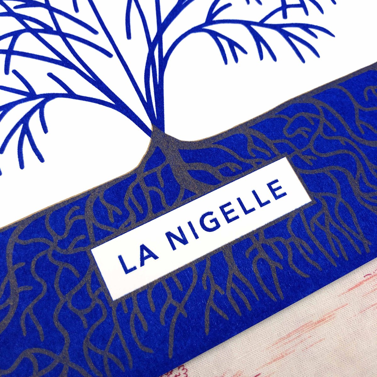 LA NIGELLE 