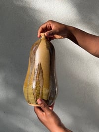 Image 5 of Butternut