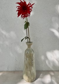 Image 4 of Bleach