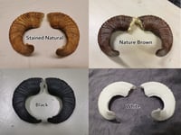 Image 2 of Replica Small Sheep Ram Horns