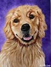 Custom Pet Portrait - Acrylic on Canvas Panel