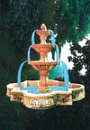 fountain of youth