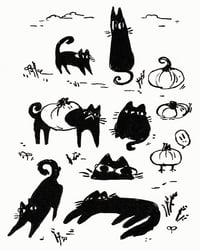 Little Black Cats & Pumpkins - Print